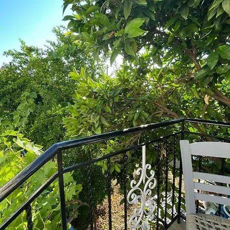 Appartement Seagull-Medousa Apartment In Skopelos *
